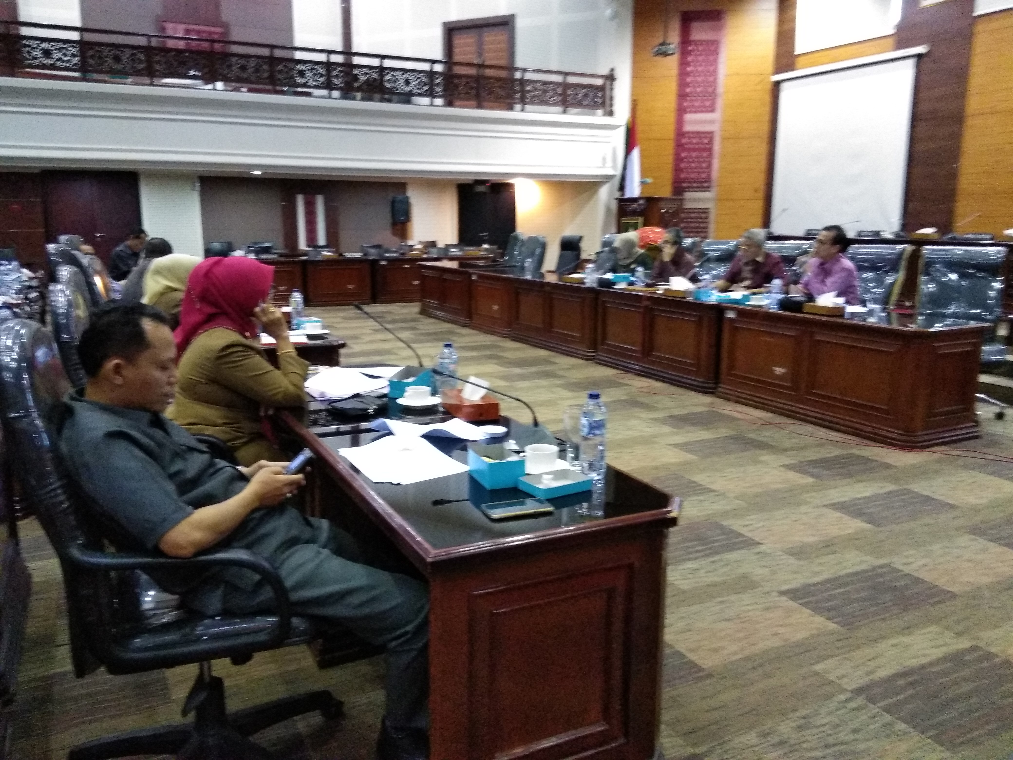 Penyempurnaan Ranperda GAKY, Pansus DPRD Ingatkan Efisiensi