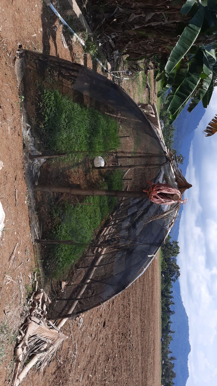 Lahan Gala Teknologi Mulai Ditanami