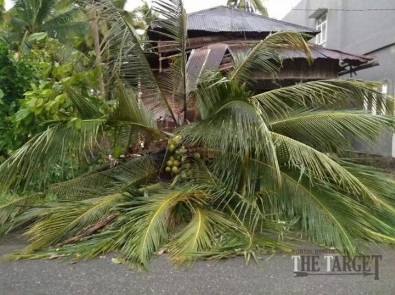 Puting Beliung Menghantam Nagari Sulit Air Solok, Banyak Rumah Warga Rusak