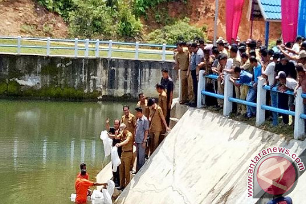 Launching Nagari Mandiri Pangan Kab. Pesisir Selatan