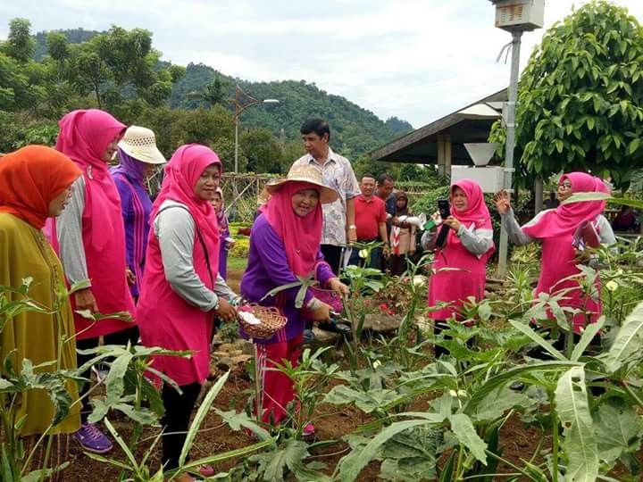 Ketua TP PKK Prov Sumbar Buka Lomba Masakan Salero Kampuang 