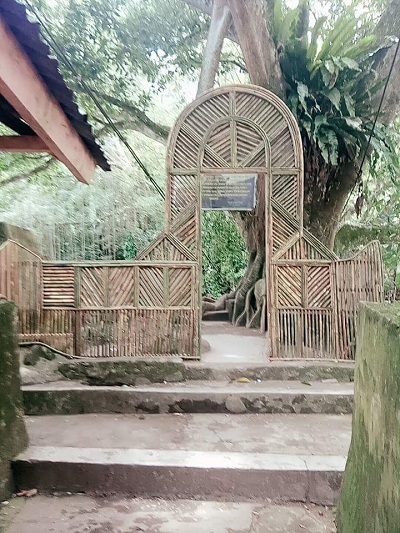 Kawasan Wiaata Jembatan Akar Di Per Cantik