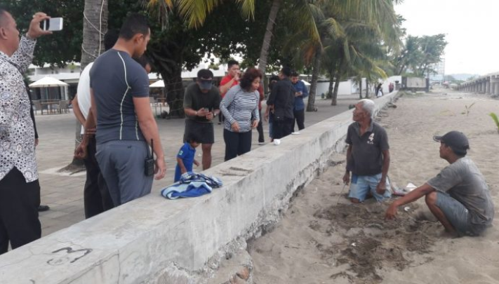 Menteri Susi Pudjiastuti Temukan Sarang Penyu Lekang di Padang