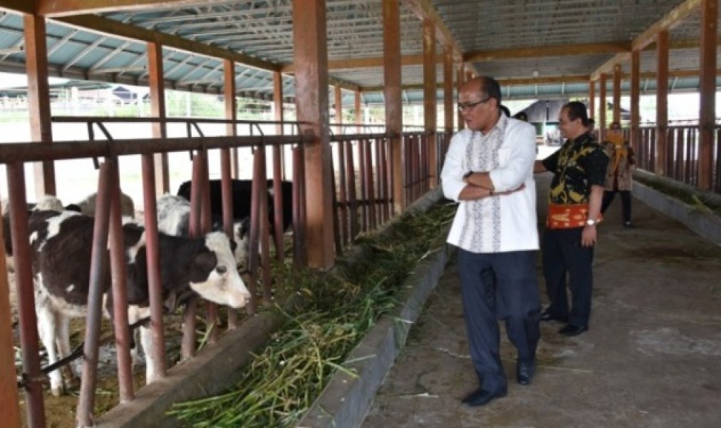 Supardi Minta Pemprov Tingkatkan Kerja Sama dengan BPTU HPT Untuk Tingkatkan Produksi Ternak