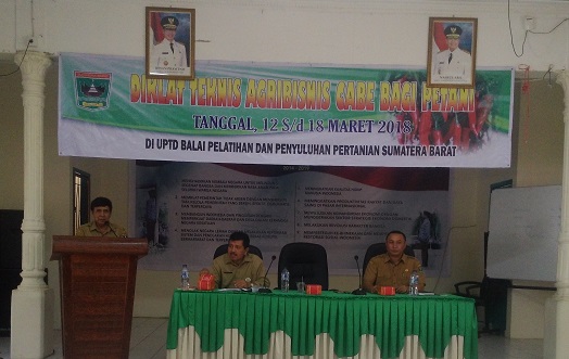 Diklat Teknis Agribisnis Cabai