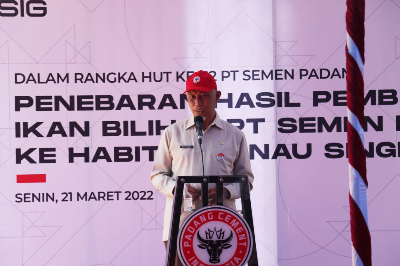 Selamatkan Dari Kepunahan, Gubernur Sumbar Lepas 4 Ribu Ikan Bilih Hasil Pembenihan PT. Semen Padang