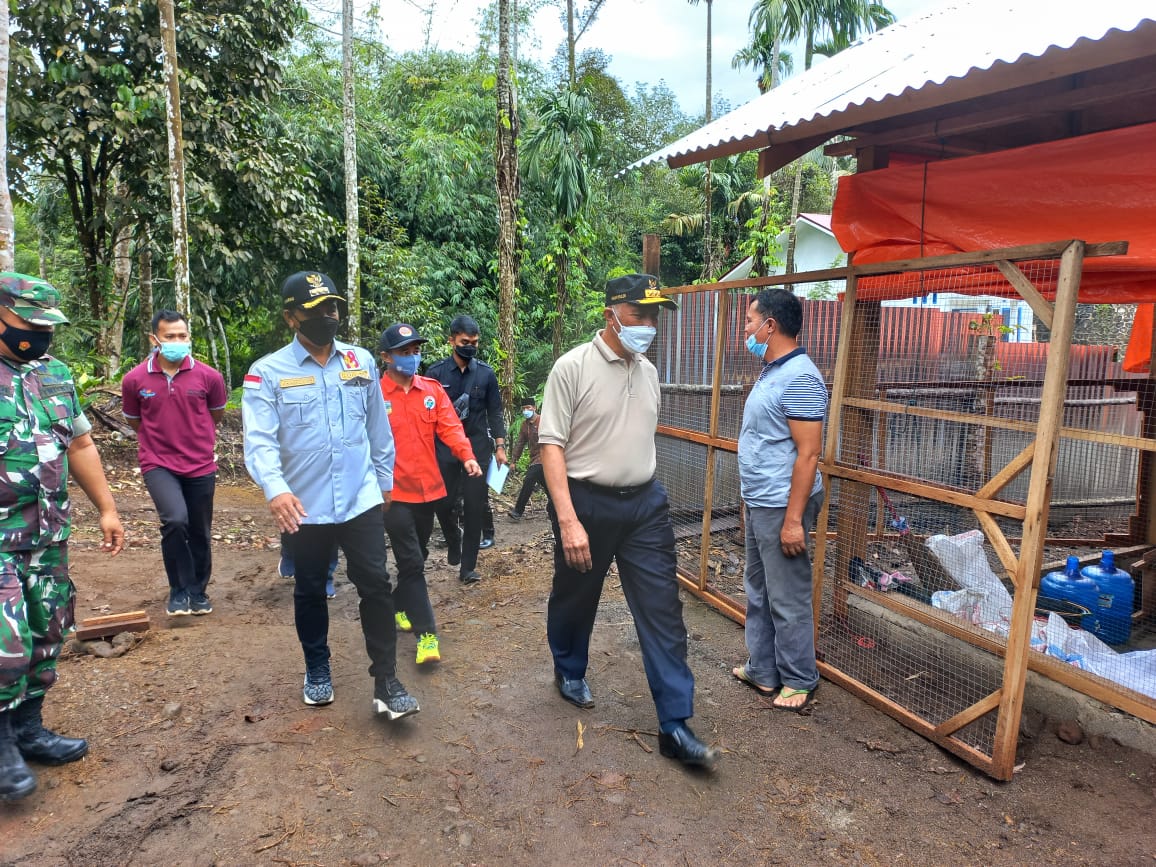 Gubernur Mahyeldi dan Khairunnas Panen Perdana Ayam Potong Nagari Tageh di Solok Selatan