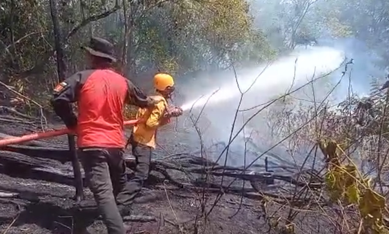 Sumbar Tetapkan Status Siaga Darurat Karhutla 60 Hari