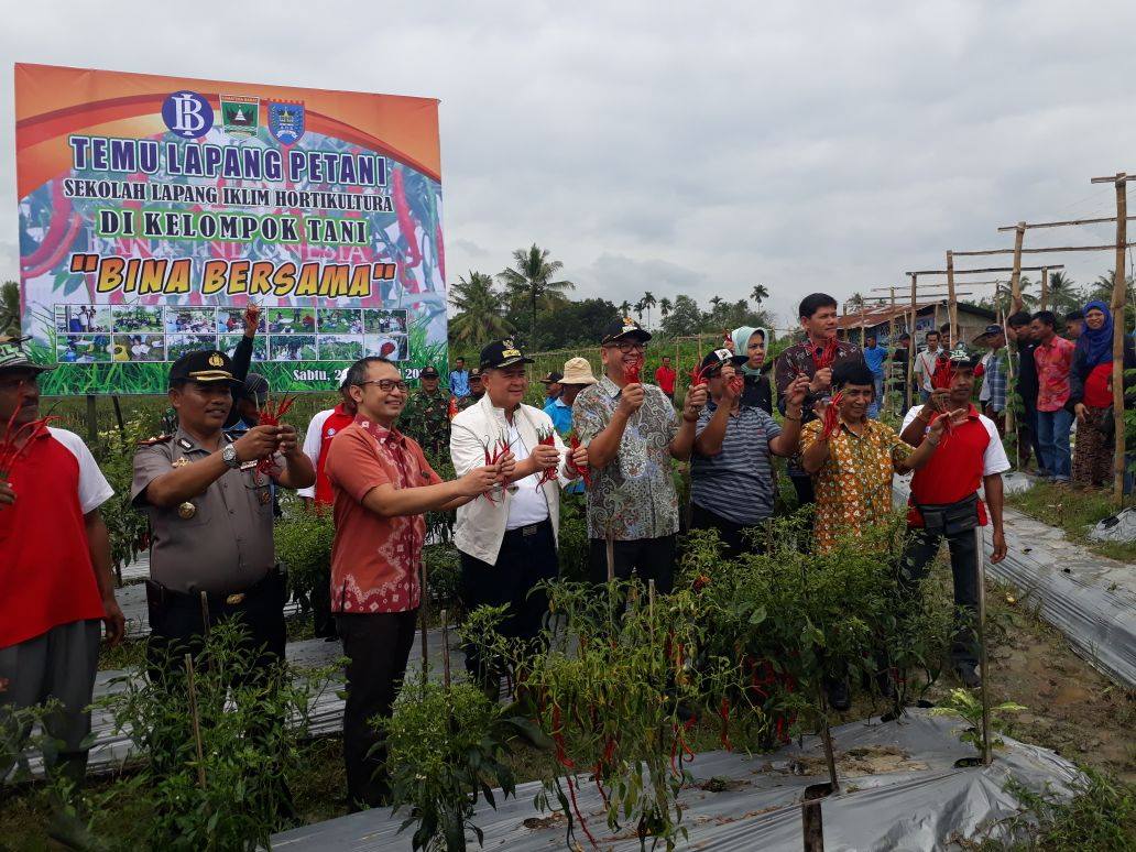 Wagub Nasrul Abit, Panen Raya Capai Kopay