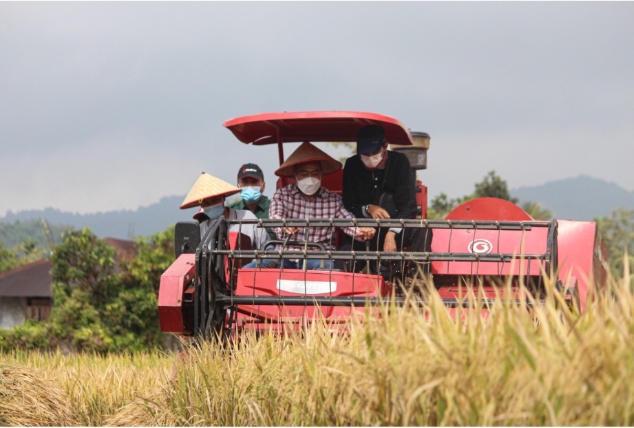 Panen Raya Nagari Rambatan, Wagub Akui Tanah Datar Tulang Punggung Ketahanan Pangan Sumbar