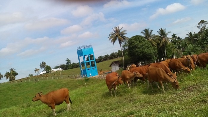 MEMINANG KEINDAHAN DI PADANG KESEJAHTERAAN