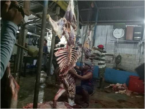 Penertiban Pemotongan Ternak diluar Rumah Potong Hewan (RPH)