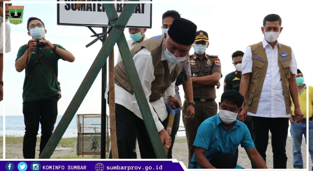 Pinago Lebih Tahan Abrasi, BNPB Himbau Optimalkan Mitigasi Berbasis Vegetasi