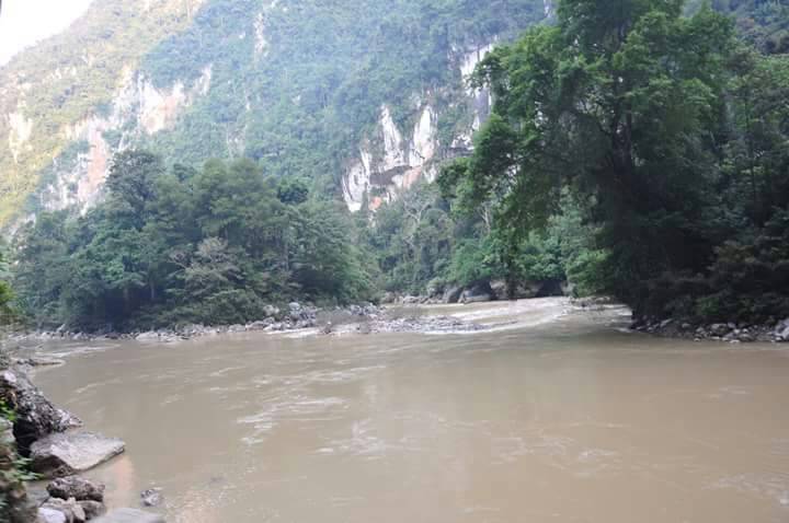 Silokek