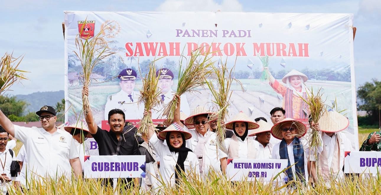 Sumbar Dorong Swasembada Pangan dengan Metode Sawah Pokok Murah