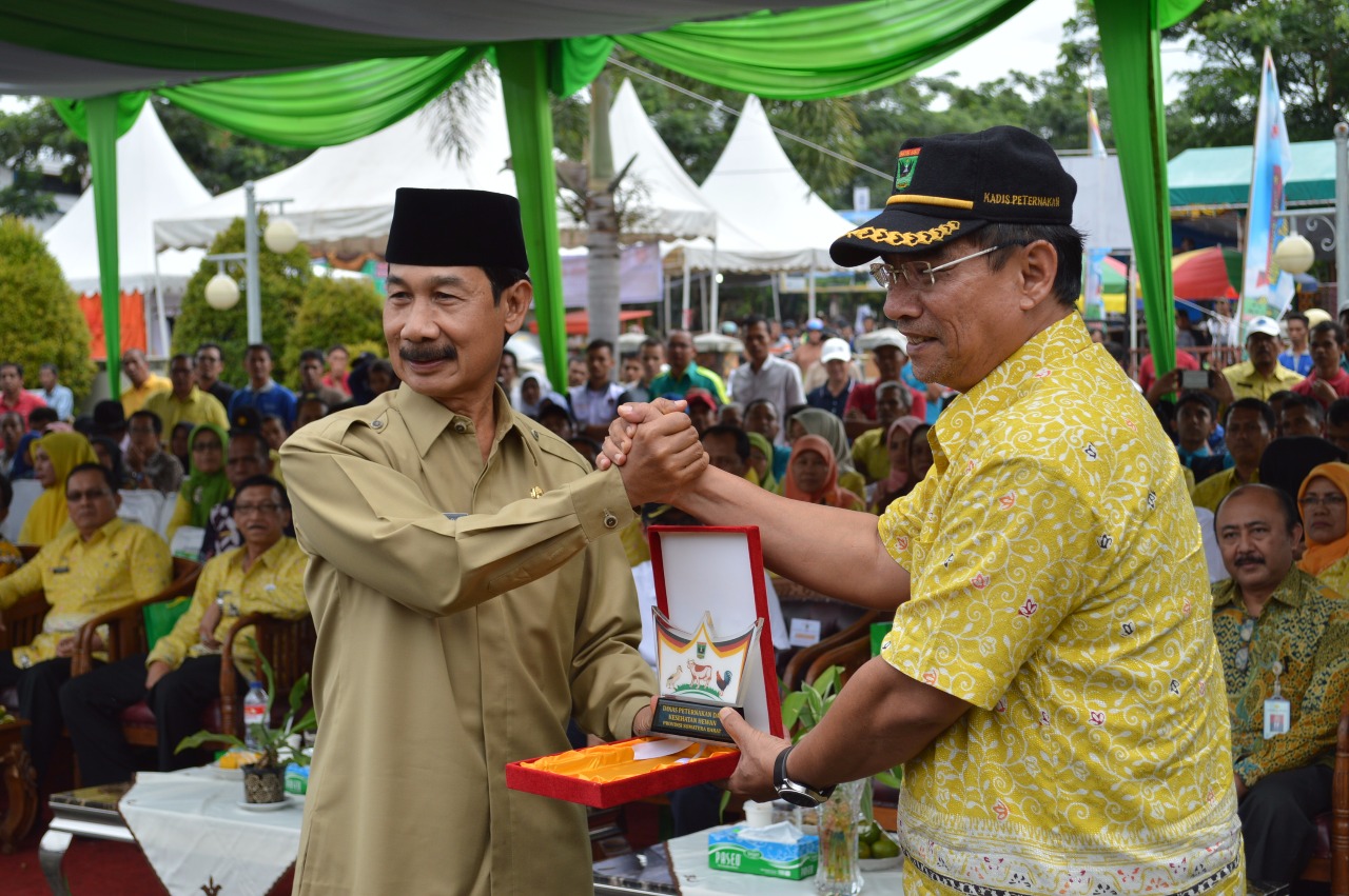 SOLOK SELATAN RAIH ENAM JUARA KONTES TERNAK