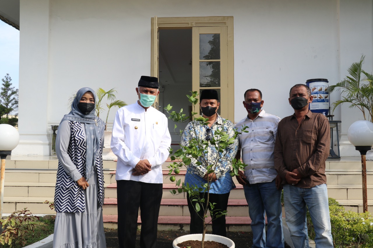 Gubernur Sumbar Apresiasi Program Sejuta Bibit Buah Untuk Kemakmuran Masjid