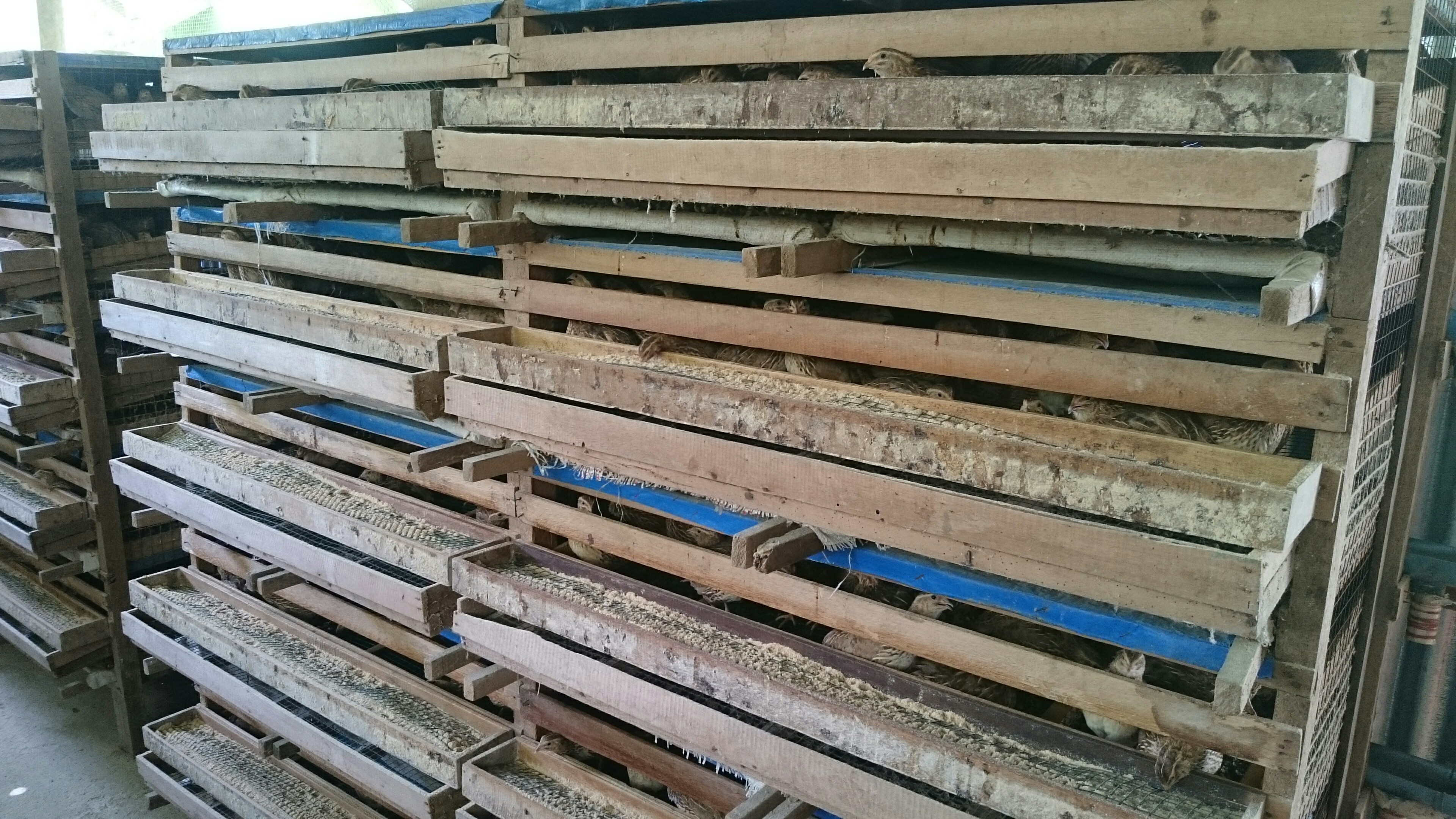 Program Peningkatan Ekonomi Perempuan: Perempuan mampu menunjang ekonomi keluarga