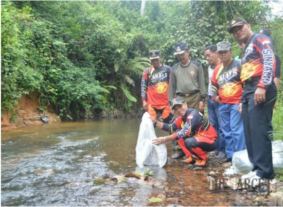 Sungai Kulampi Sijunjung Direstocking Pakai Nila Nirwana