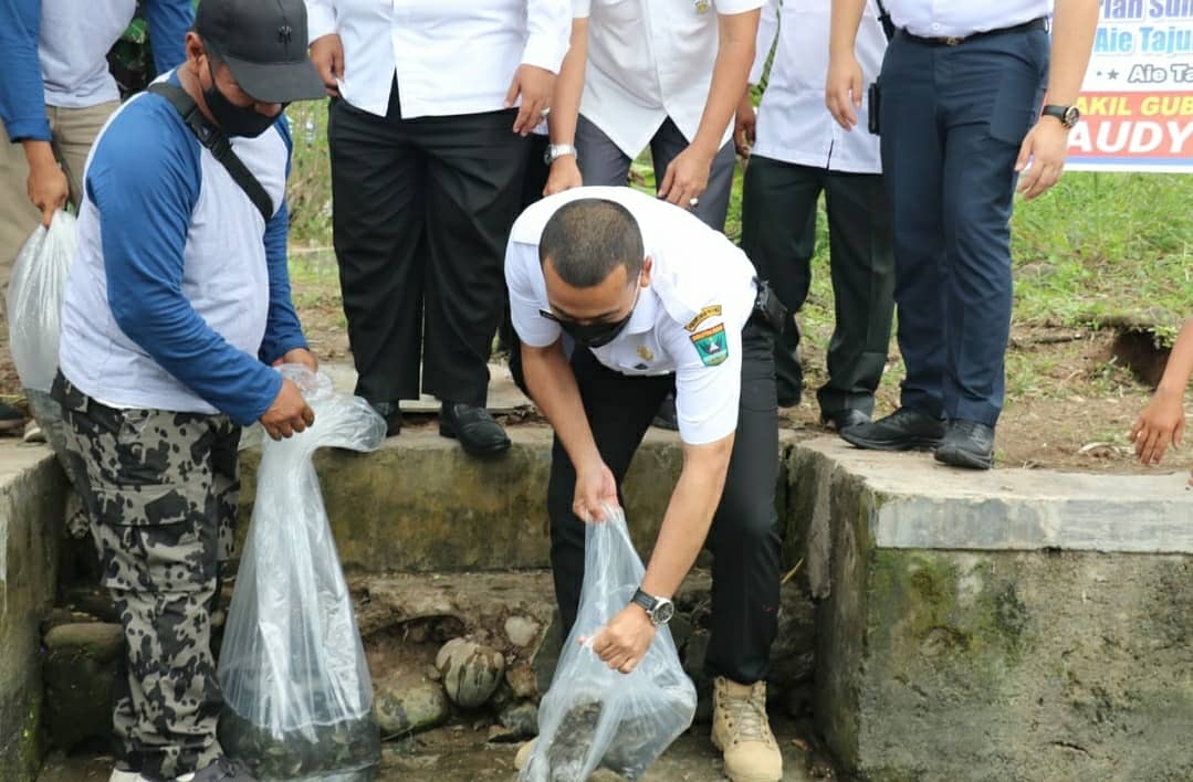Potensi Sumber Pendapatan Nagari, Wagub Sumbar Tebar 22 Ribu Benih Ikan di Nagari Aie Tajun
