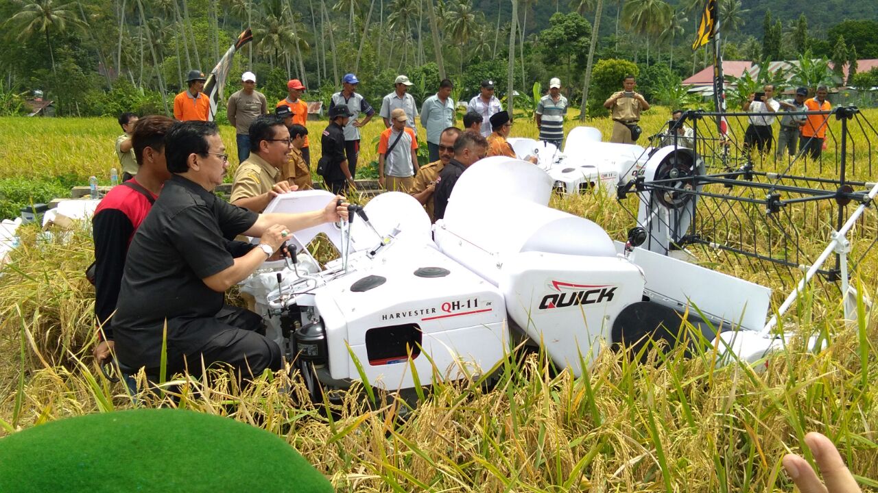 Gerakan Percepatan Tanam Padi di Sumpu