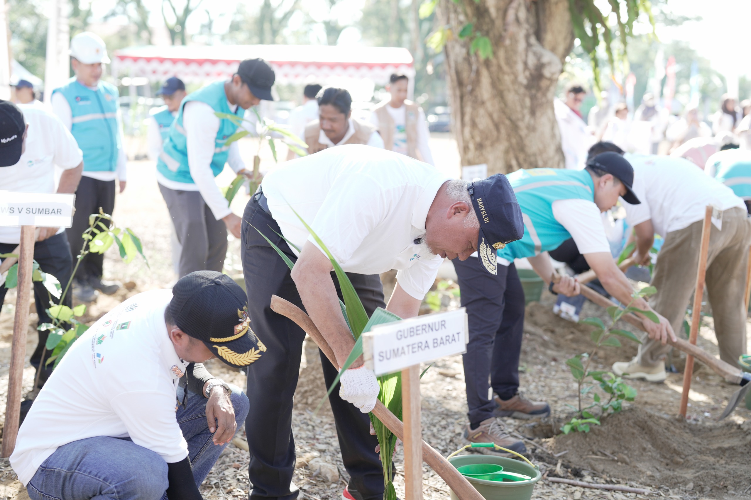 Tanam Seribu Bibit di Kawasan Terdampak Galodo, Mahyeldi: Tidak Boleh Lambat Memperbaiki Lingkungan