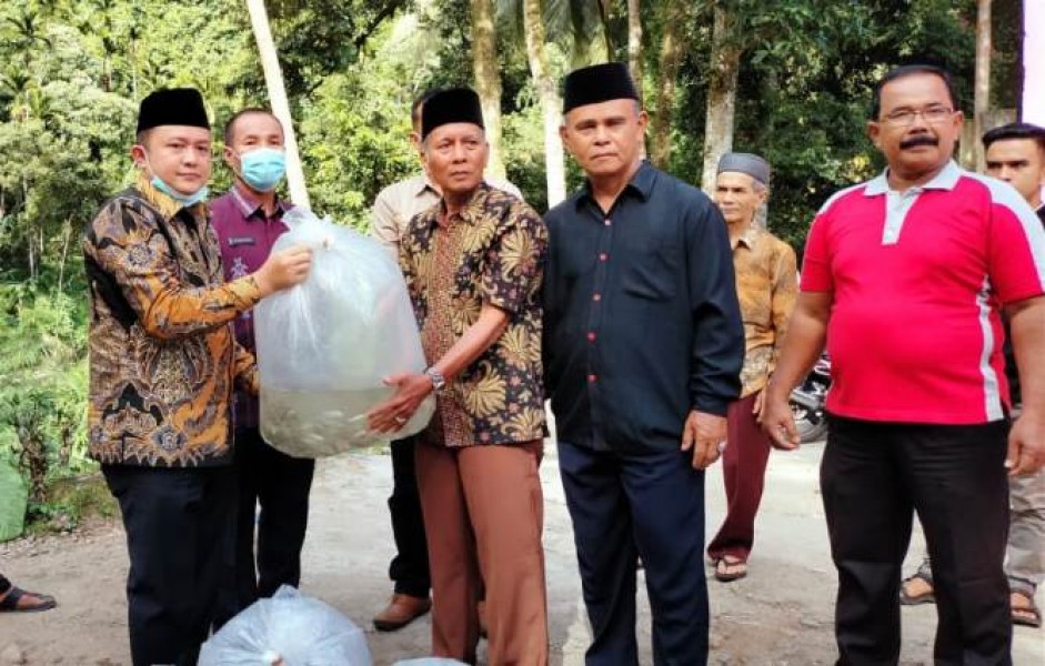 Muhayatul Tebar Ribuan Benih Ikan Larangan di Taratak Koto Ranah