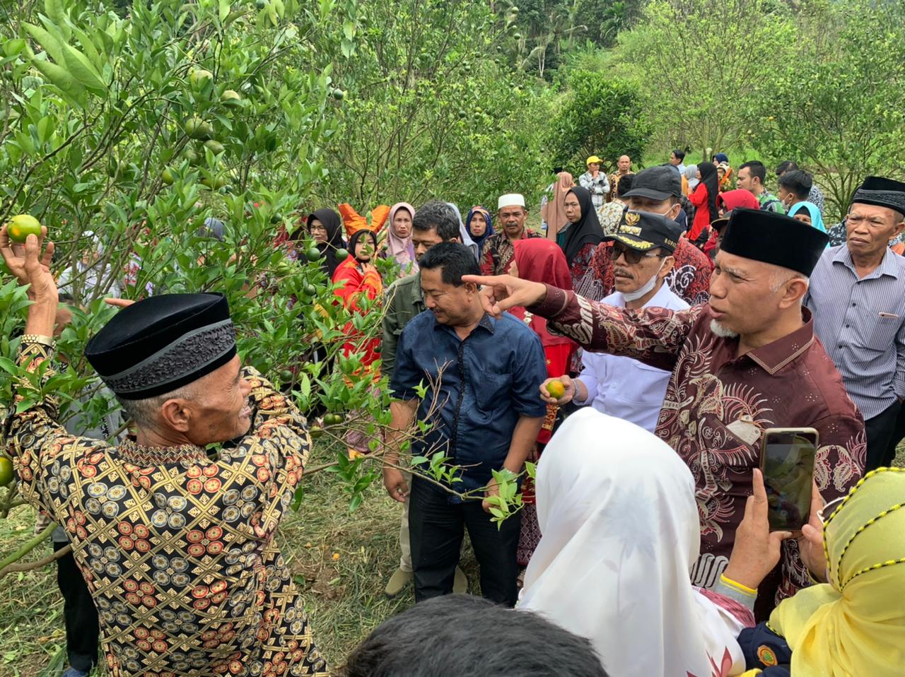 Petani Keluhkan Pupuk Subsidi, Buya Mahyeldi Siapkan Substitusi