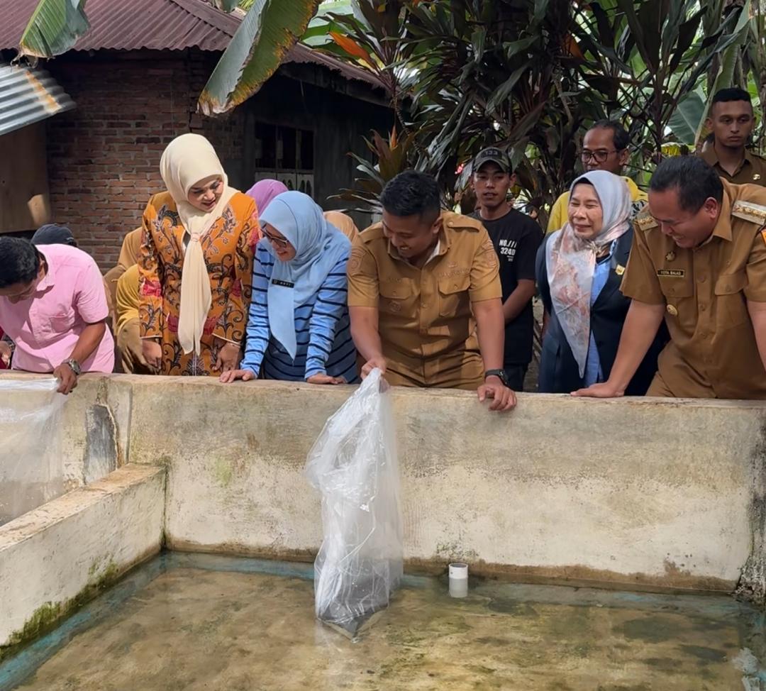 Dorong Ekonomi Lokal, Pemprov Sumbar Serahkan Induk Unggul Lele kepada Pembudidaya di Pariaman