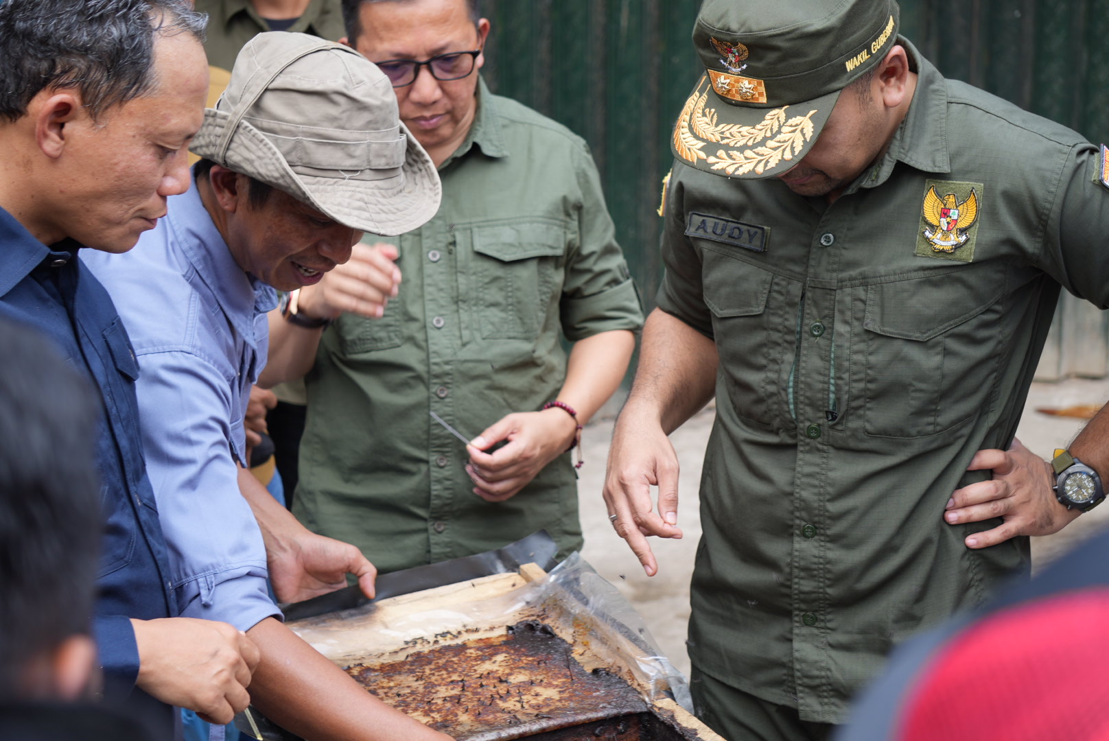 Wagub Sumbar Serahkan Bantuan 600 Bibit Pohon Jengkol di Pasaman