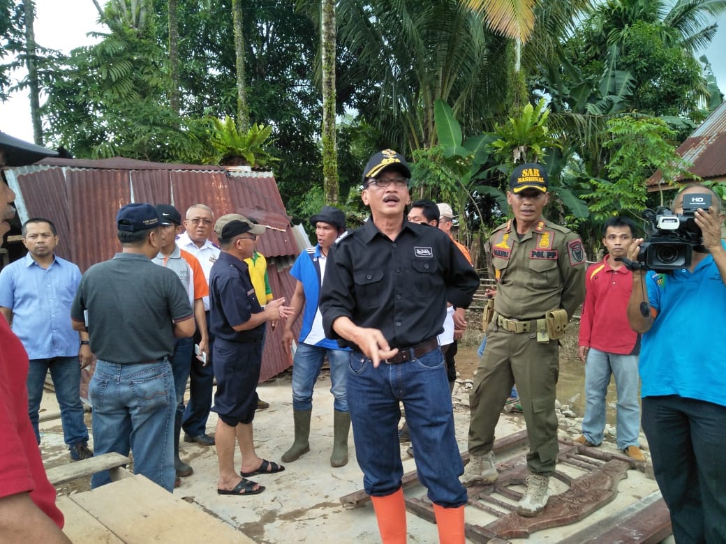 Masalah Illegal Logging Hal Ironis Harus Diselesaikan Dan Diberantas