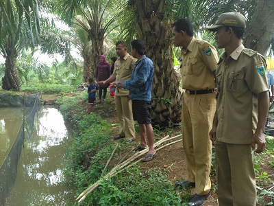 Nagari Inderapura Utara Panen Ikan Perdana Di Lubuk Larangan