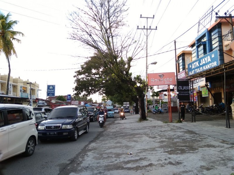 Dewan Minta Pemko Padang Melakukan Pemangkasan Pohon Yang Telah Condong Ke Badan Jalan
