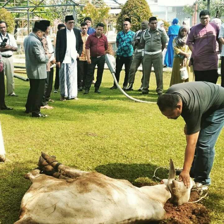 Gubernur Sumbar Saksikan Penyembelihan Hewan Qurban di lingkungan di Gubernuran