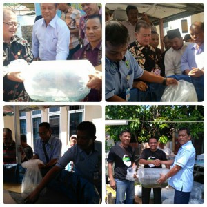 WAKIL GUBERNUR SUMATERA BARAT MENYERAHKAN BANTUAN BENIH DAN INDUK IKAN LELE UPTD BBIS SICINCIN KEPADA KELOMPOK PEMBUDIDAYA IKAN LELE BIO MAKSI KECAMATAN LUBUK BEGALUNG KOTA PADANG