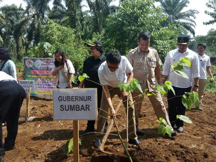 Gubernur Sumatera Barat Ikut Menanam Pohon