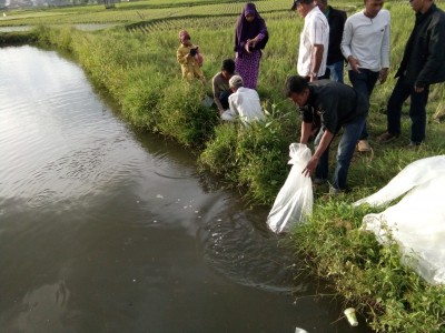 DISTRIBUSI IKAN DI KABUPATEN AGAM