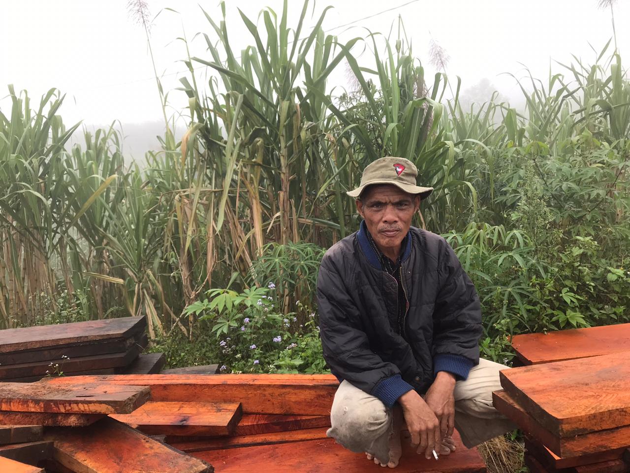Imbas Corona, Permintaan Tebu Lawang Turun Drastis