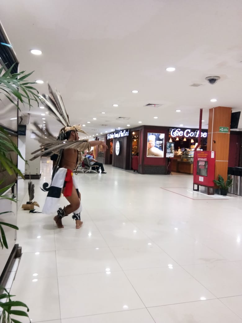 Misi Budaya 