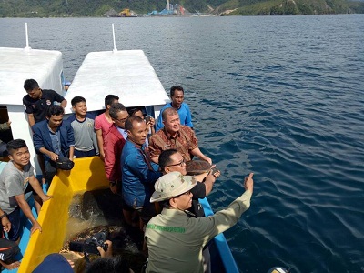 Wagub Nasrul Abit : Penyu Harus Dilindungi