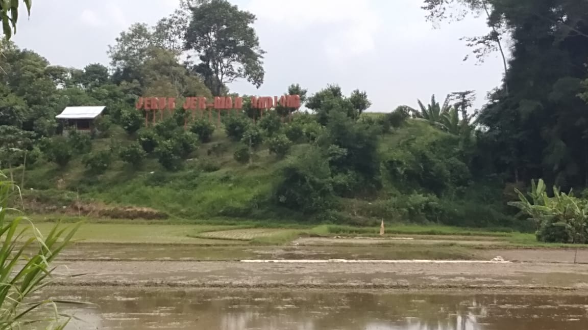 Melihat Desa Agrowisata Buah Jeruk Jerman Andiang