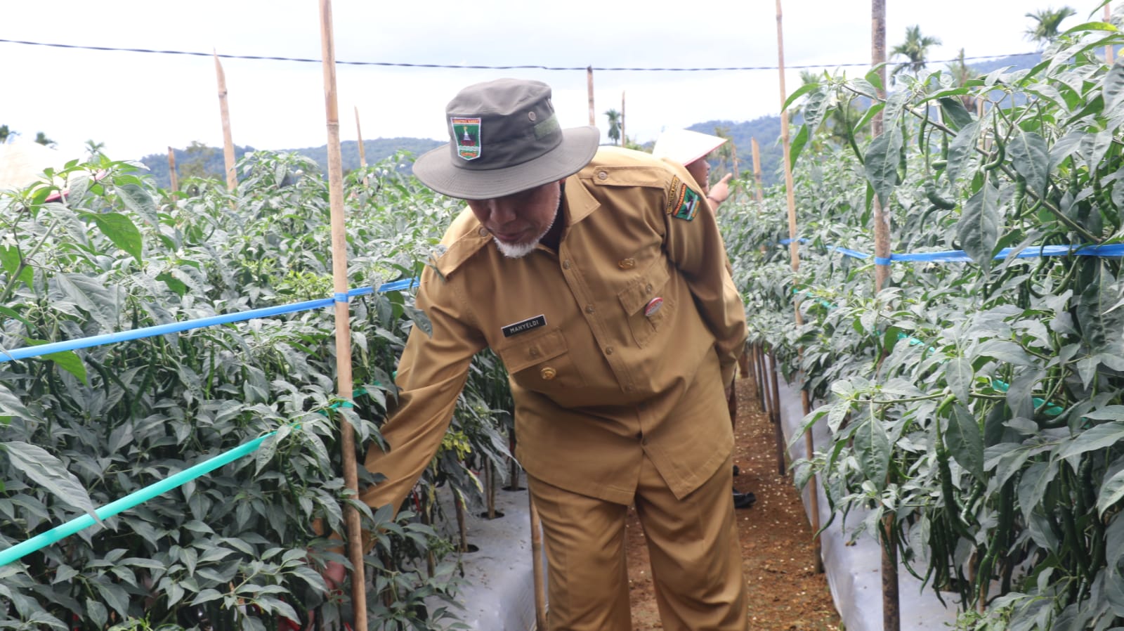 Satu Hari Berkantor Di Nagari Talu, Gubernur Sumbar Sebut Talu Berpotensi Sebagai Leading Sektor Pertanian