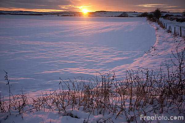 Persatuan Umat Islam