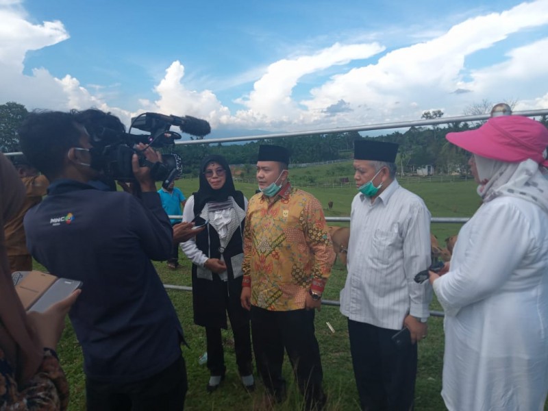 UPTD Ruminansia Air Runding Pasbar Kekurangan Lahar Untuk Ternak Sapi