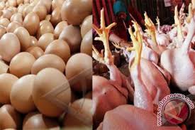 Harga Daging Ayam dan Telur Bakal Miliki Harga Acuan