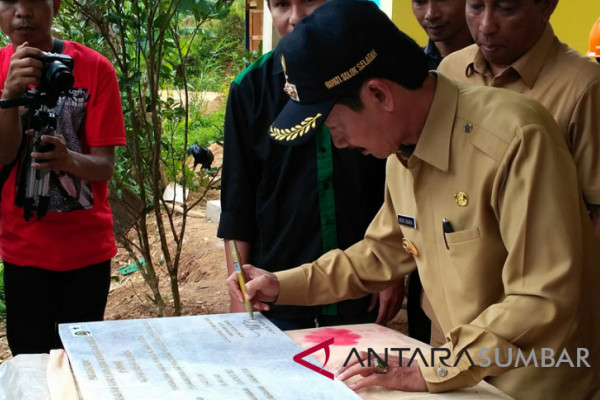 KEUNGGULAN MENGGUNAKAN BENIH BERSERTIFIKAT