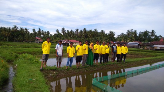 KERJASAMA UPTD BBI SICINCIN DENGAN DINAS PERIKANAN KABUPATEN KEPULAUAN MENTAWAI DI BIDANG PELATIHAN TEKNIS BUDIDAYA IKAN BAGI KELOMPOK PEMBUDIDAYA IKAN (POKDAKAN)