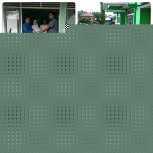 REALISASI BANTUAN PROGRAM 100 JUTA EKOR BENIH IKAN UPTD BBIS SICINCIN MELEBIHI TARGET