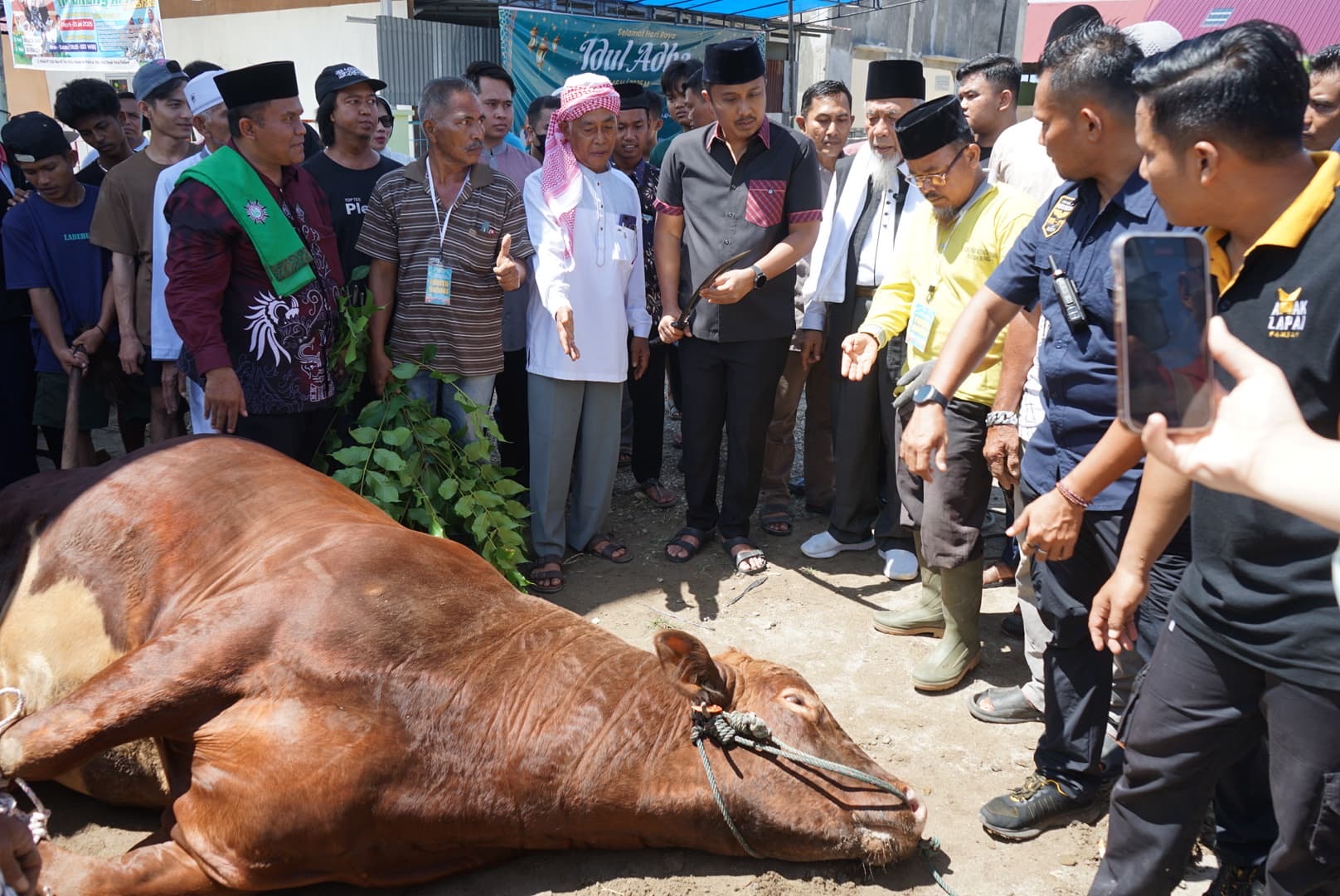 Penuh Haru dan Syukur, Ponpes Minangkabau Terima Sapi Kurban Presiden yang Diserahkan Langsung oleh Wagub Sumbar