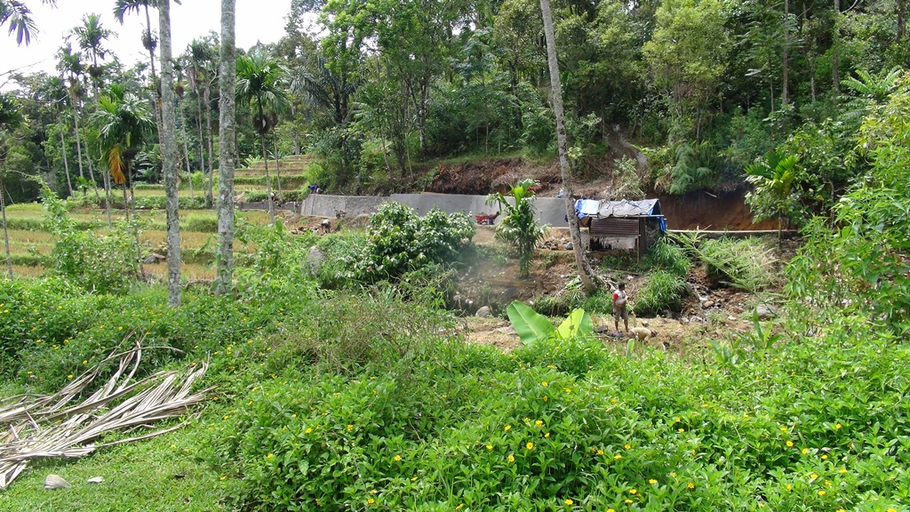 KEGIATAN REHABILITASI DI BATANG GUMARANG
